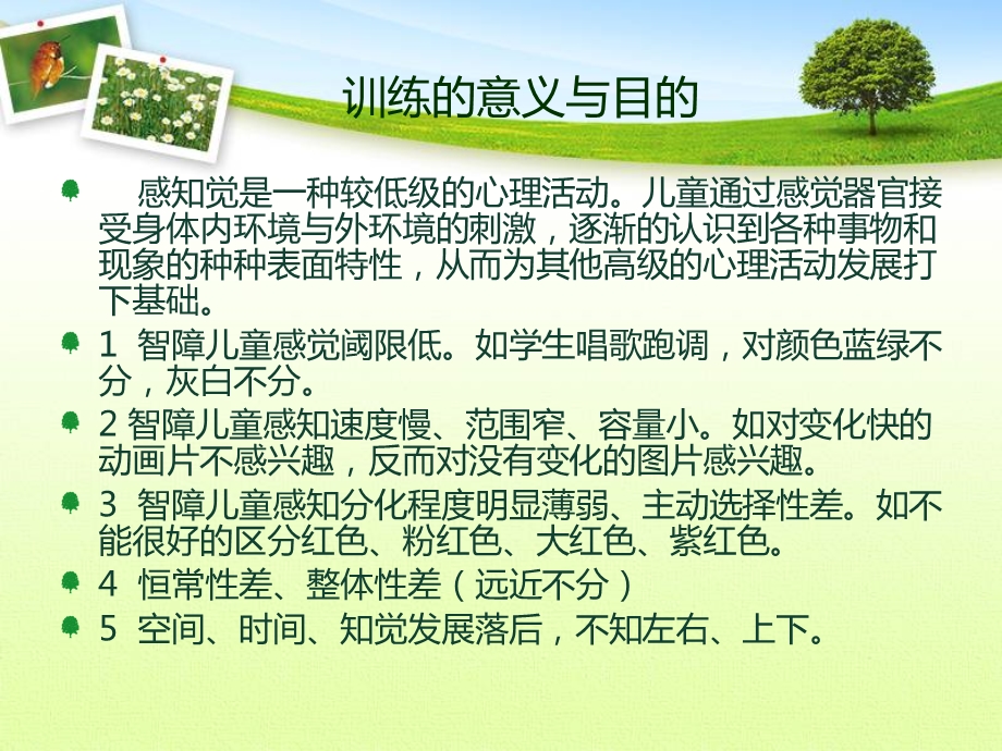 感知觉训练课件.ppt_第2页