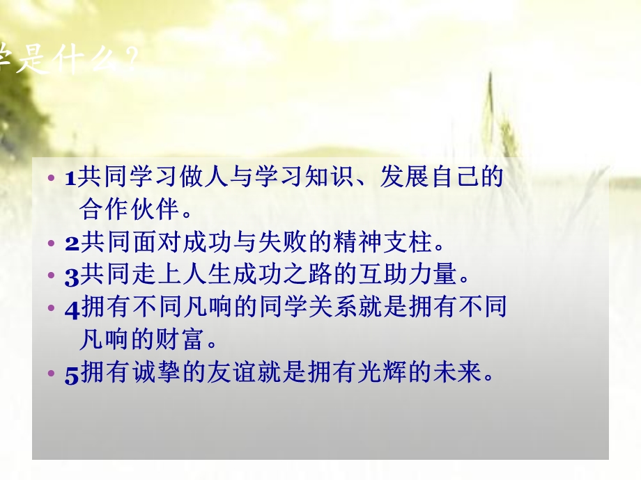 排队主题班会课件.ppt_第3页