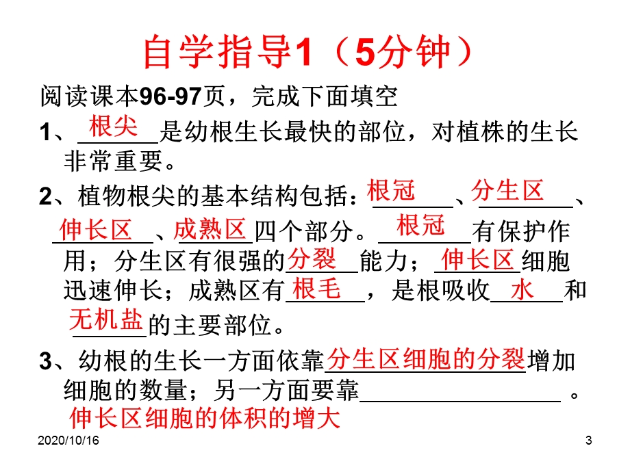 植株的生长教学ppt课件.ppt_第3页