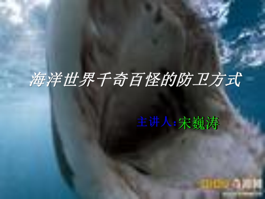 海洋世界千奇百怪讲解课件.ppt_第1页