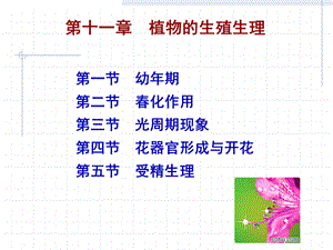 植物生理学 第10章 植物的生殖生理课件.ppt