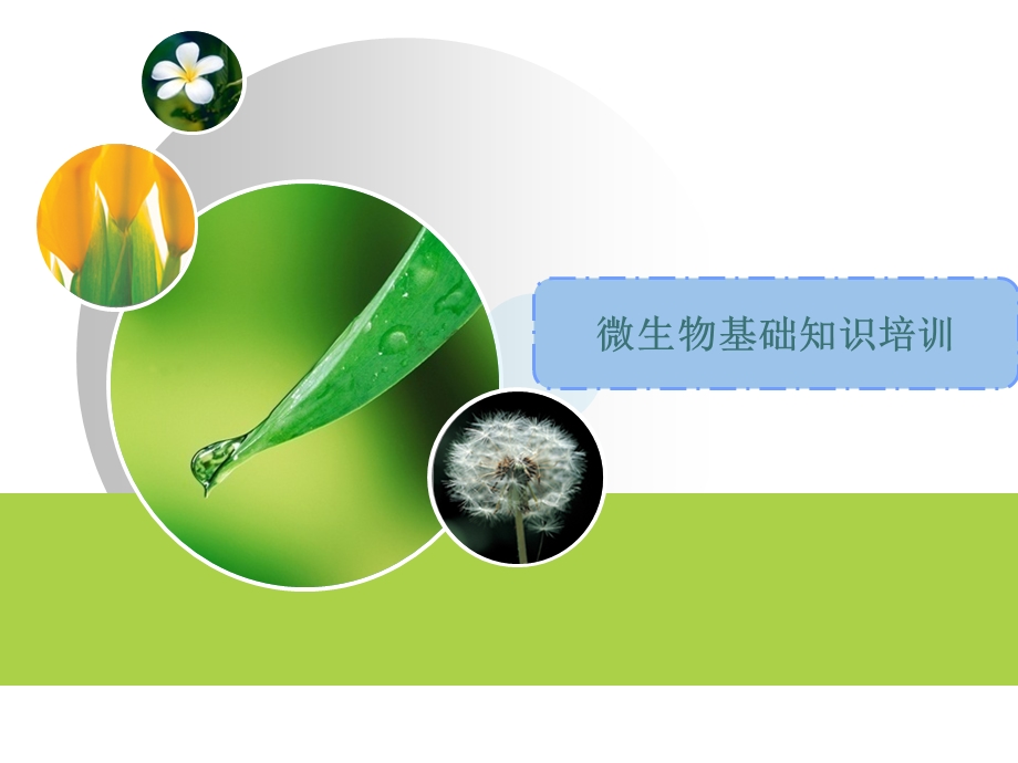 新微生物培训知识课件.ppt_第2页