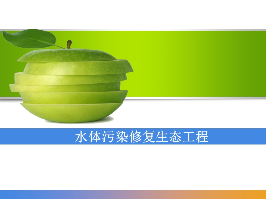 水体污染修复生态工程课件.ppt_第1页