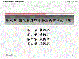 微生物第八章微生物在环境物质循环中作用课件.ppt