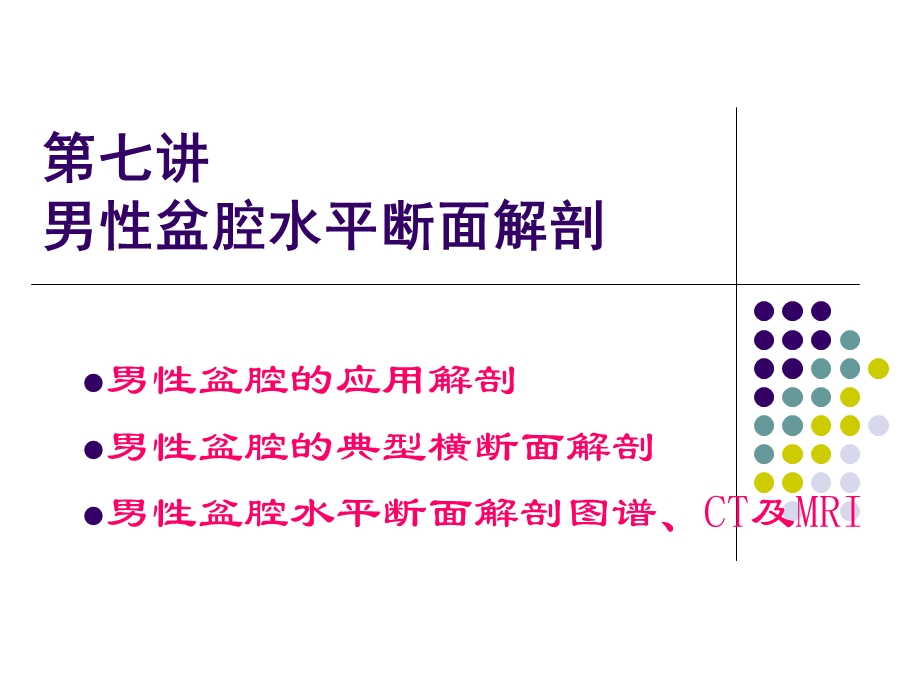 断面盆腔男课件.ppt_第1页