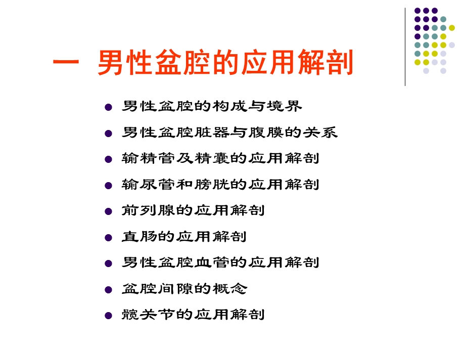 断面盆腔男课件.ppt_第2页