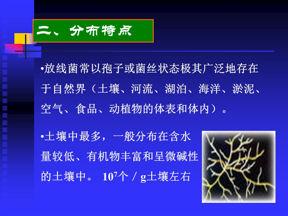 放线菌及其他原核生物课件.ppt_第3页