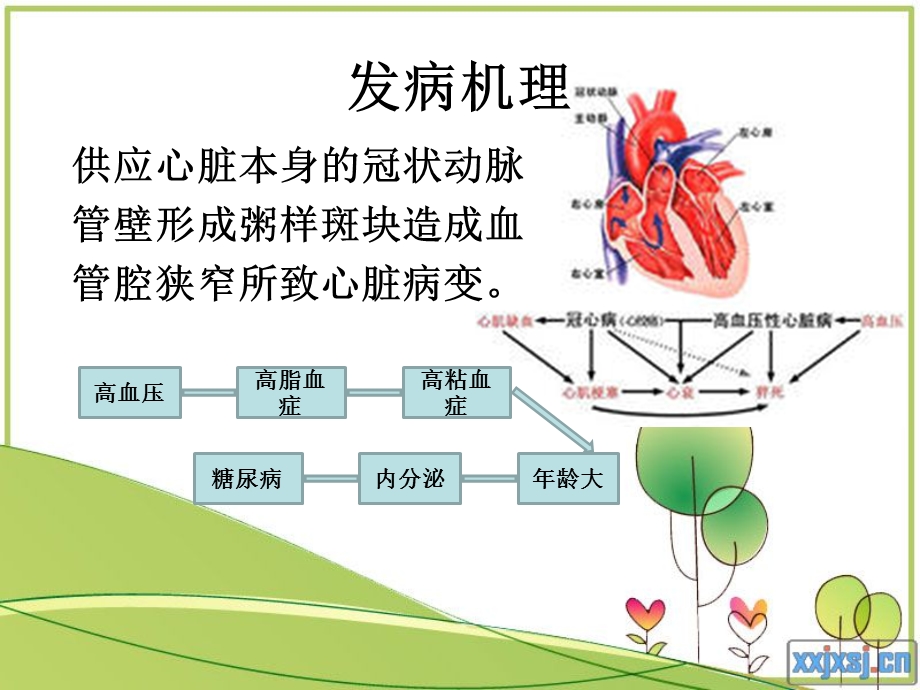 激光心肌血管重建术课件.ppt_第3页