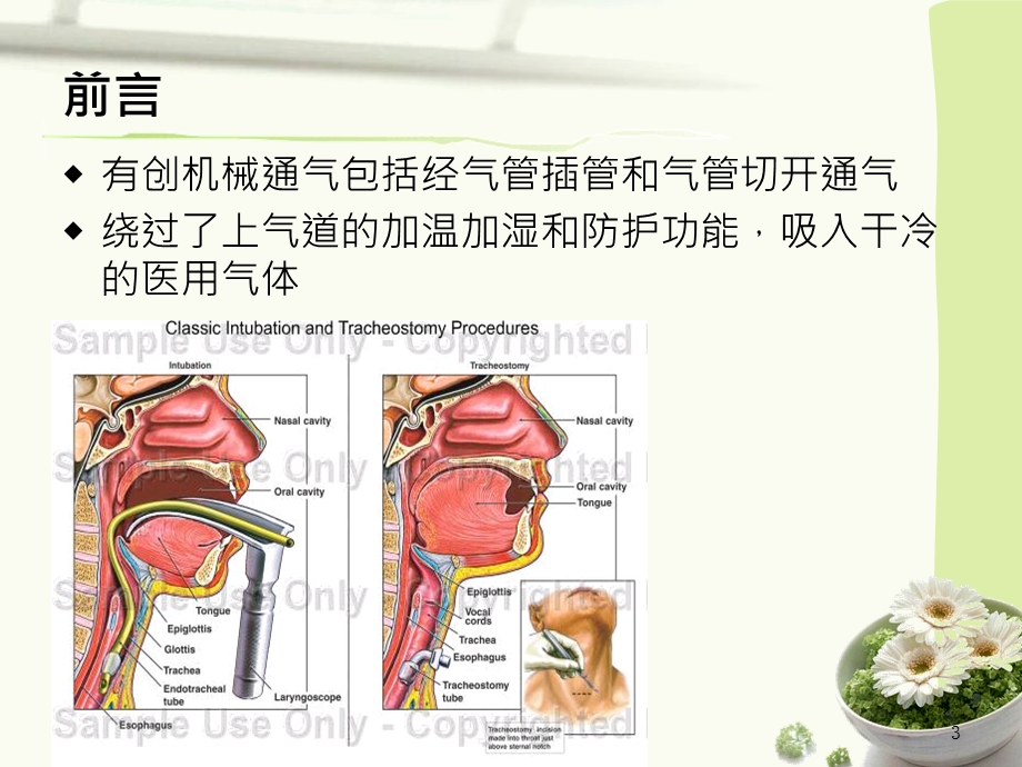 机械通气患者气道湿化方式的应用课件.pptx_第3页