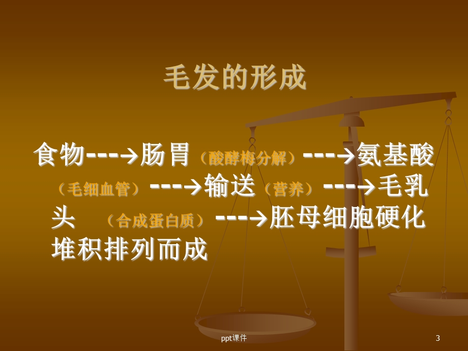 毛发生理学课件ppt.ppt_第3页