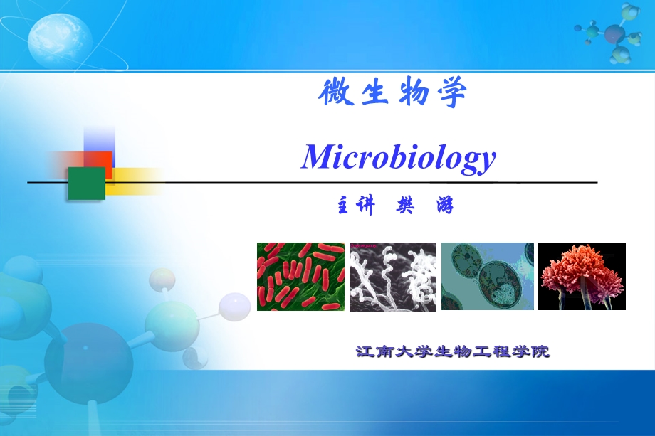 微生物ppt课件.ppt_第1页