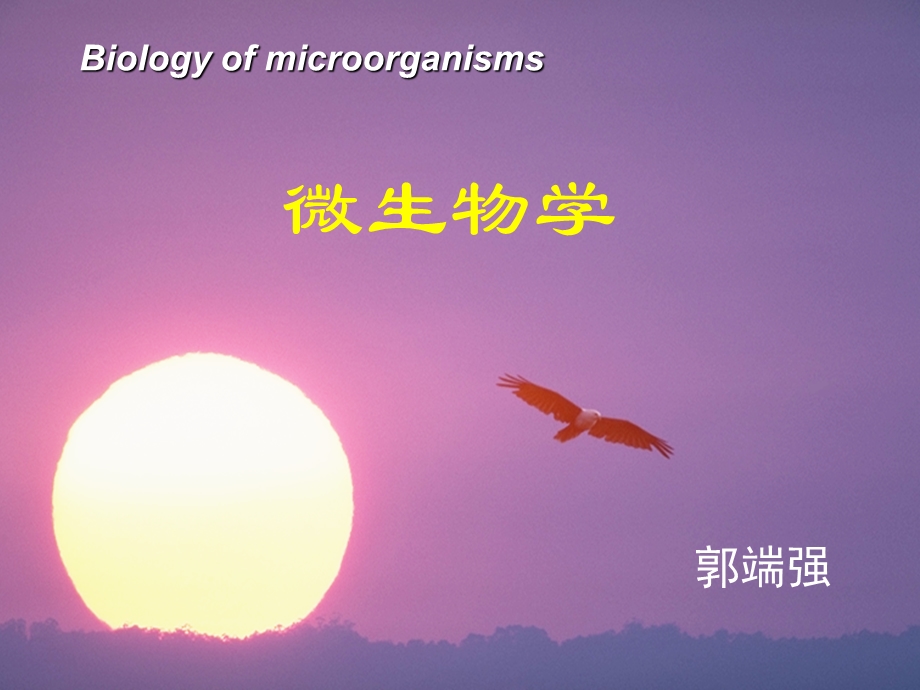 微生物绪论课件.ppt_第1页