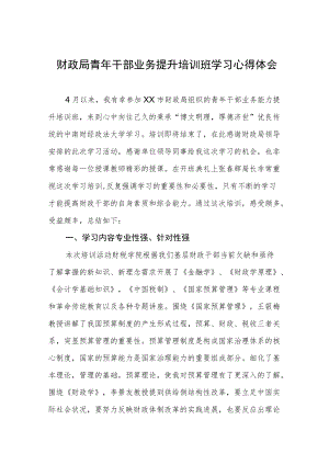 财政局青年干部业务提升培训班学习心得体会.docx