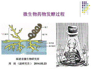 微生物药物的发酵工艺课件.ppt