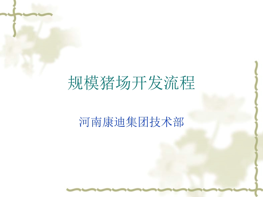 猪场开发流程课件.ppt_第1页