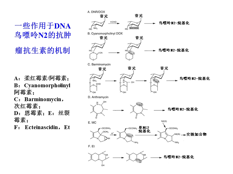 微生物药物学第七章抗肿瘤抗生素课件.ppt_第3页