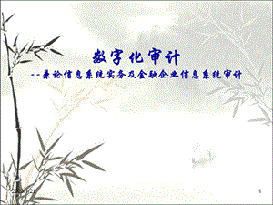 数字化审计兼论信息系统实务及金融企业信息系统课件.ppt