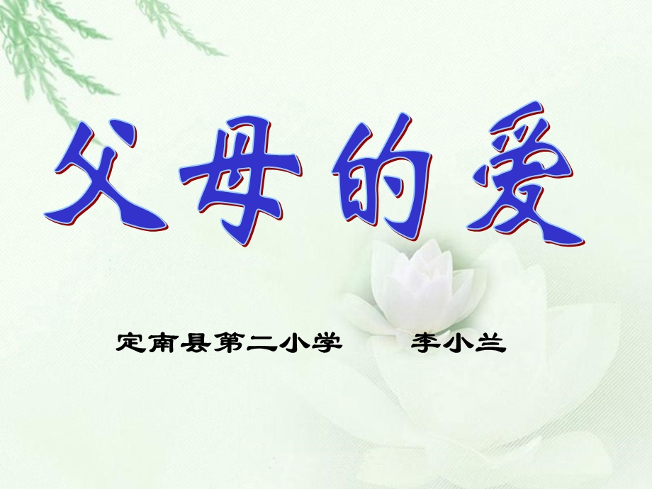 父母的爱（细节）课件.ppt_第1页