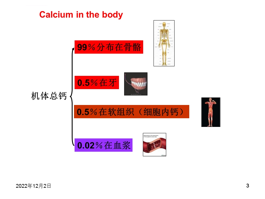 钙离子钙离子的生理作用介绍ppt课件.ppt_第3页