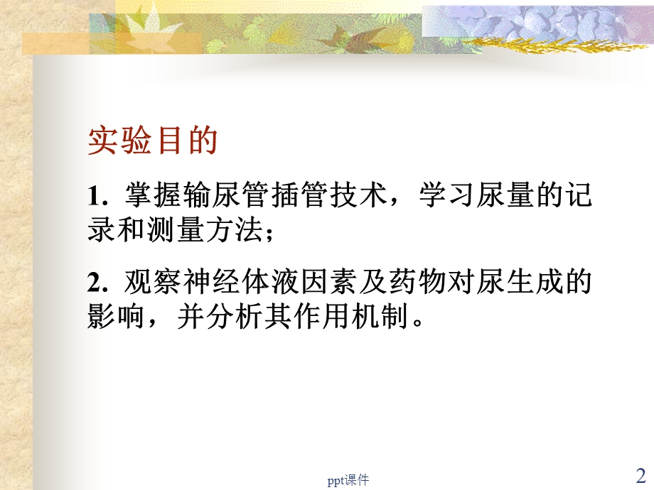 影响尿生成的因素实验课件.ppt_第2页