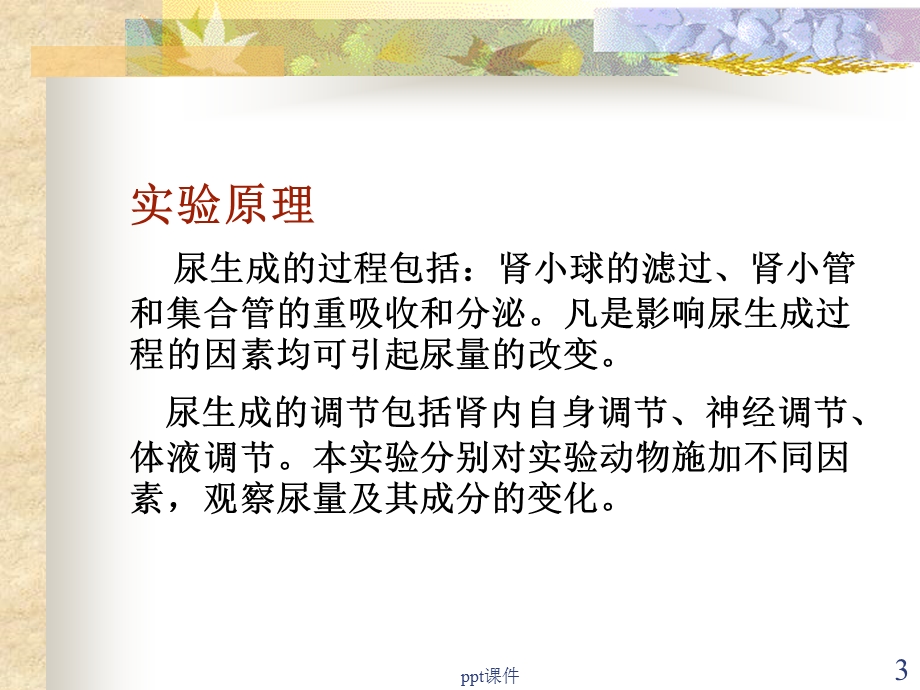 影响尿生成的因素实验课件.ppt_第3页