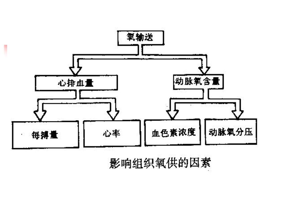 血流动力学监测课件.ppt_第3页