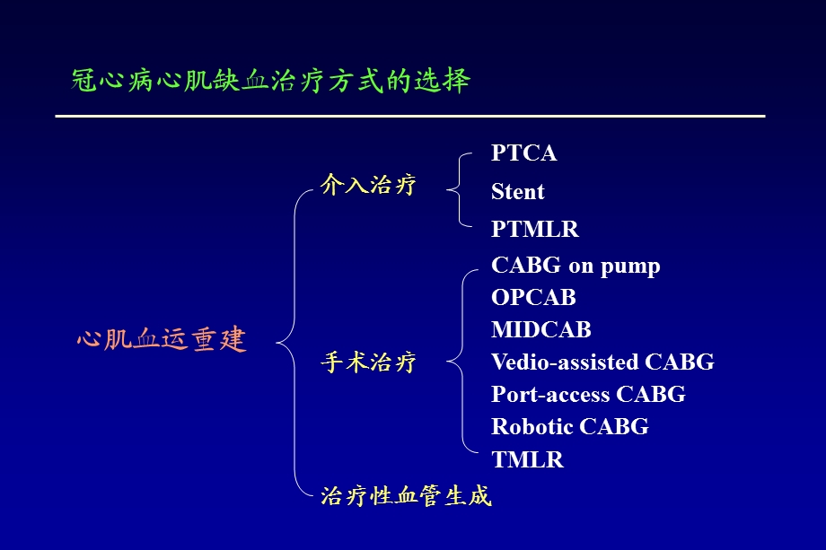 心肌血运重建外科治疗的多种选择课件.ppt_第2页