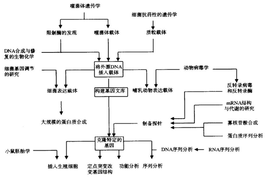 现代分子生物学技术课件.ppt_第3页