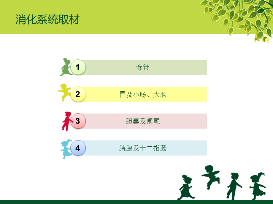 消化道取材课件.ppt_第2页