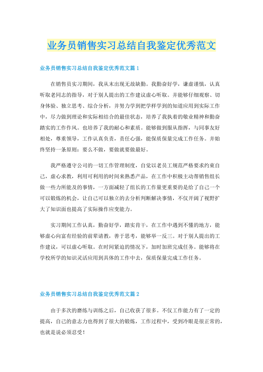 业务员销售实习总结自我鉴定优秀范文.doc_第1页