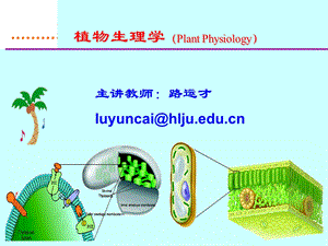 植物生理学经典ppt课件04 植物的呼吸作用.ppt