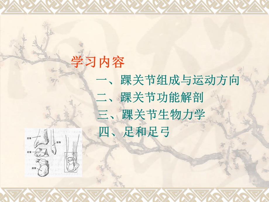 踝关节运动学课件.ppt_第1页