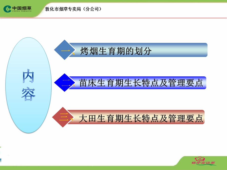 烤烟生育期划分课件.ppt_第2页