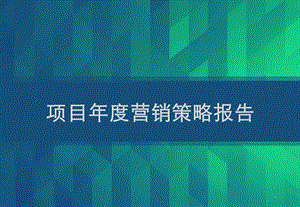 房地产项目年度营销策略报告课件.ppt