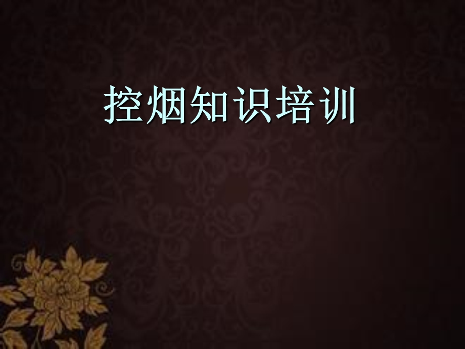 控烟知识培训ppt课件.ppt_第1页