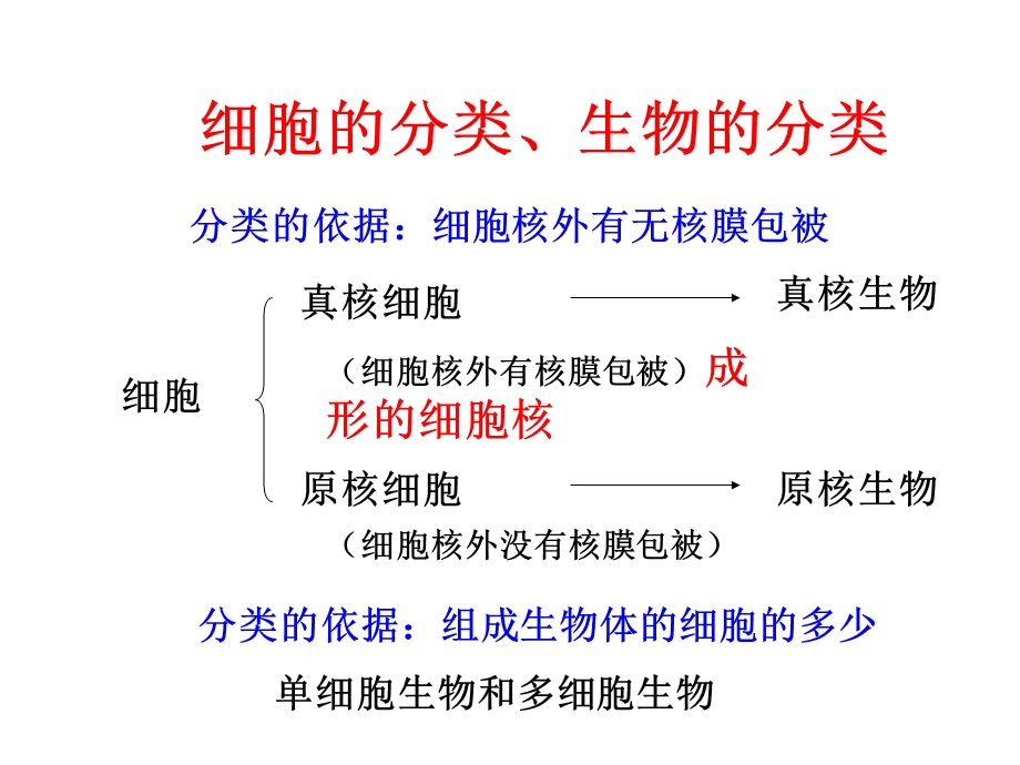 济南版生物复习ppt课件第二章观察生物的结构.ppt_第2页