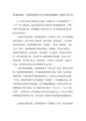 经验材料：发挥职级晋升作用持续激励干部担当作为.docx