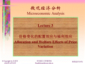 微观经济学讲义 第三讲课件.ppt