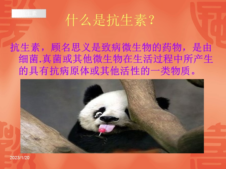 抗生素的合理应用课件.ppt_第2页