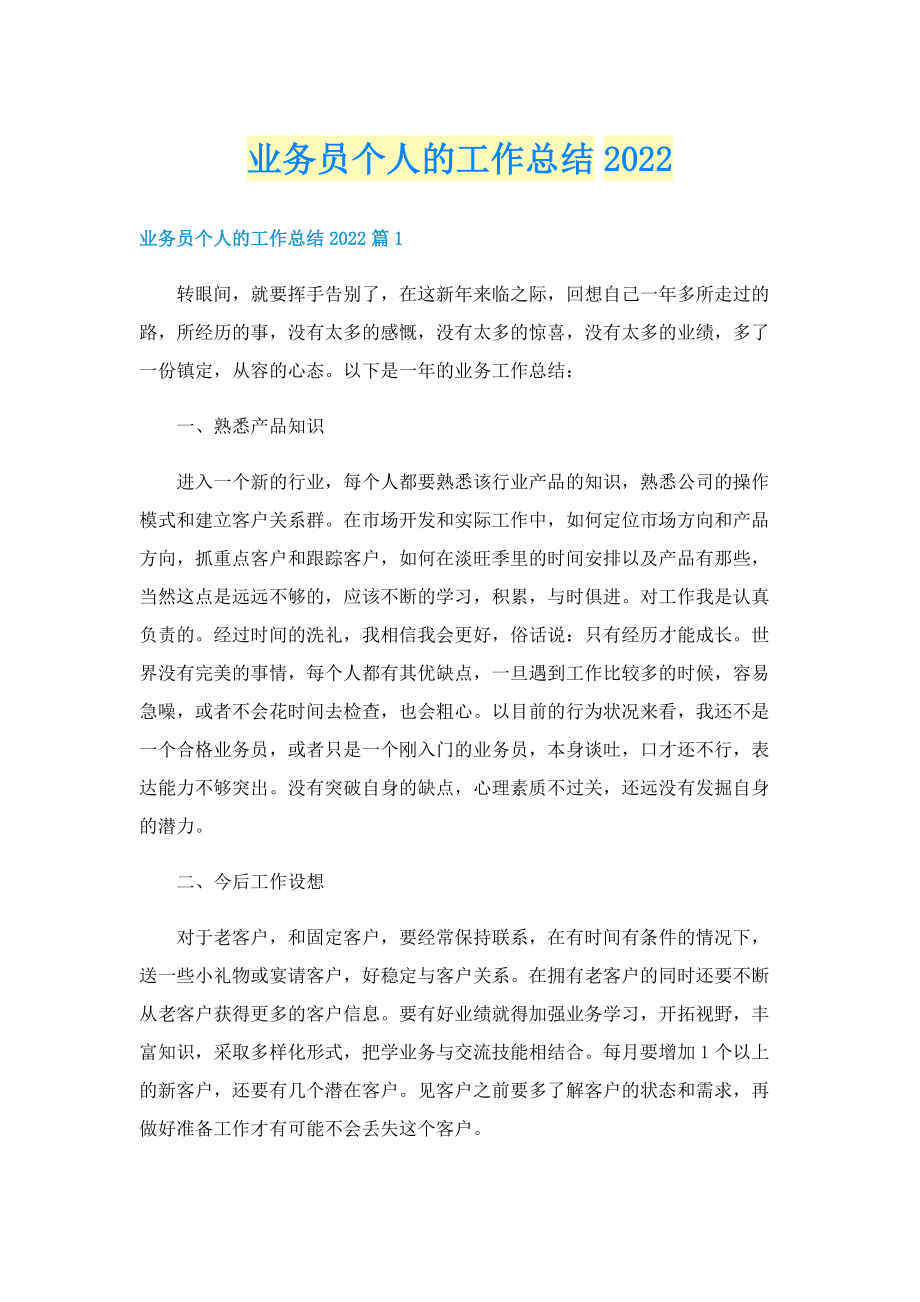 业务员个人的工作总结2022.doc_第1页