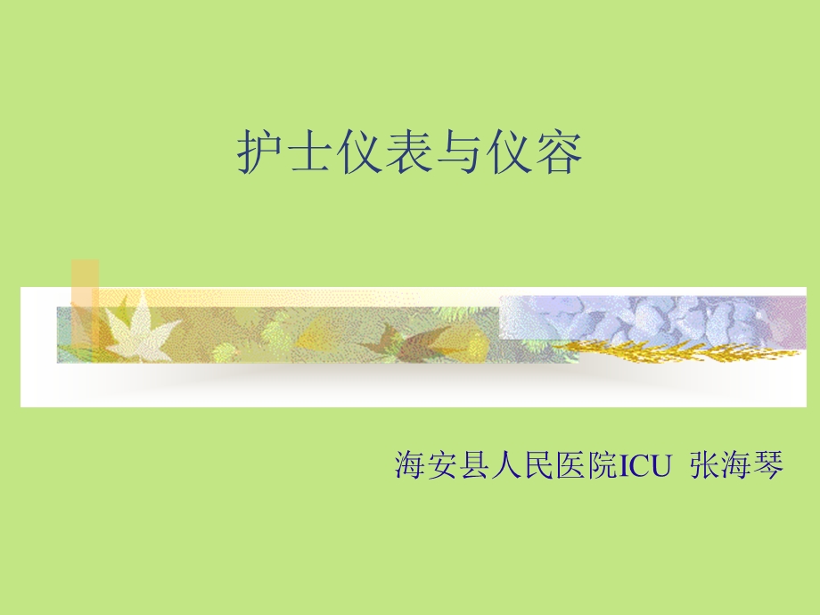 护士仪容与仪表课件.ppt_第1页