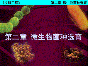 微生物菌种课件.ppt