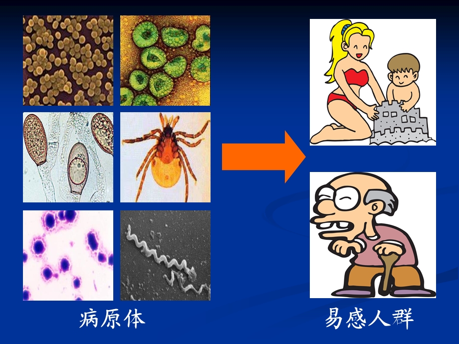 感染性疾病及免疫学检测课件.ppt_第3页