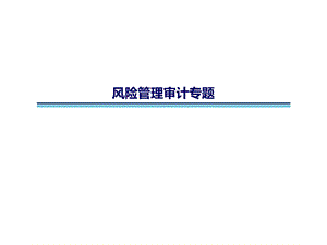 风险管理审计专题课件.ppt