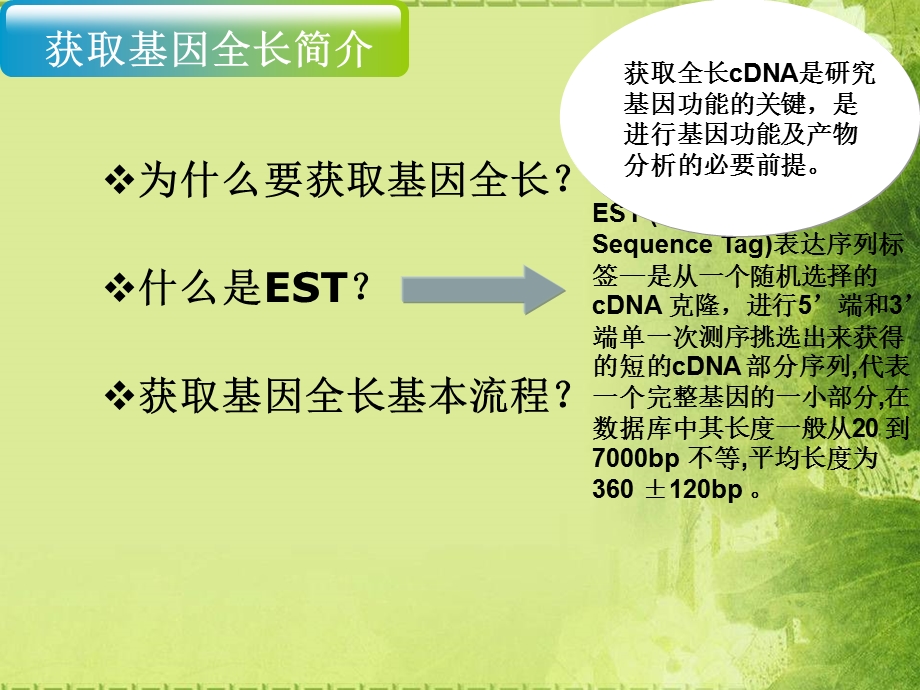 扩增基因全长实验技术课件.ppt_第3页