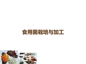 食用菌栽培与加工课件.ppt