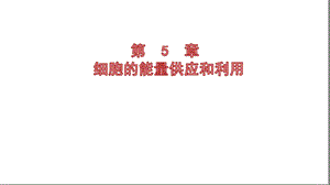 酶的作用与本质带视频和动画课件.ppt