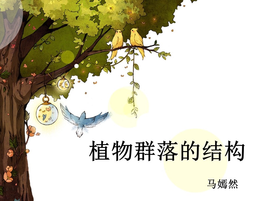 植物群落的结构特征课件.ppt_第1页