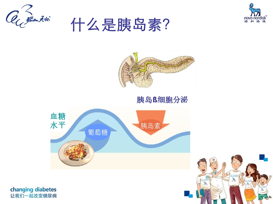 患教3 我的好帮手胰岛素课件.ppt_第3页