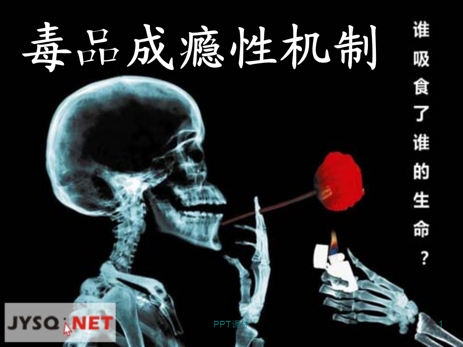 毒品成瘾性机制课件.ppt_第1页